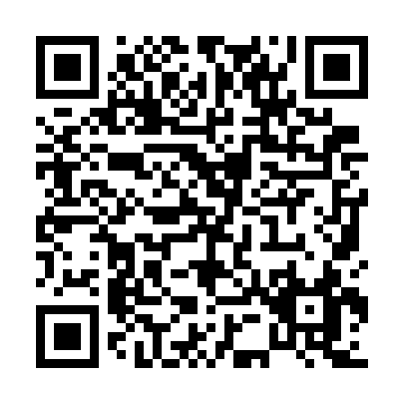QR code for P597C