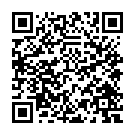 QR code for P597T