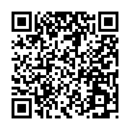 QR code for P599E