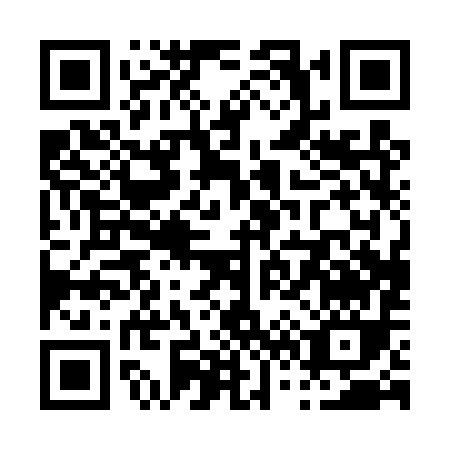 QR code for P604Y