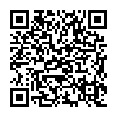 QR code for P611Z