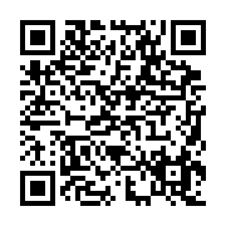 QR code for P613C