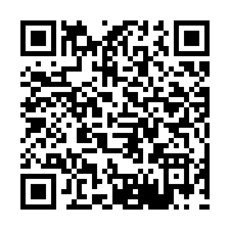 QR code for P613J