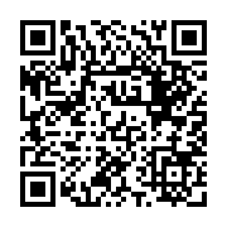 QR code for P613N