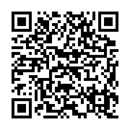 QR code for P613Z