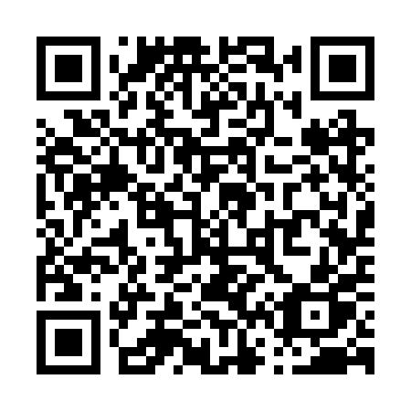QR code for P63 2PP