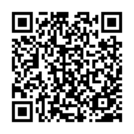 QR code for plate P63 3XT