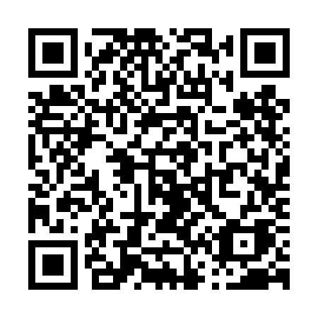 QR code for plate P63 4KA