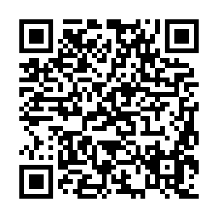 QR code for P638L