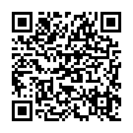 QR code for P641Z