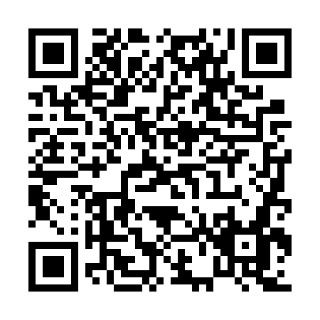 QR code for P646W