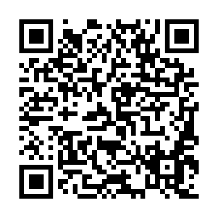 QR code for P651E