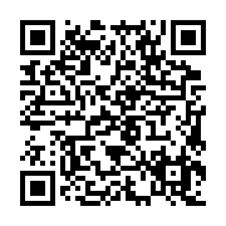 QR code for P653Z