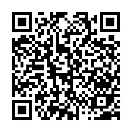 QR code for P655E