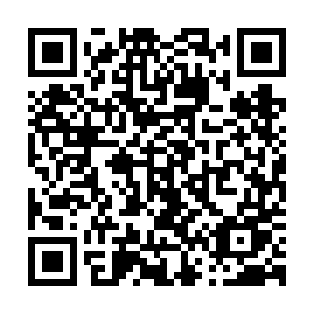 QR code for P656DU