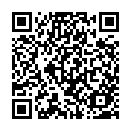 QR code for plate P65 9HO