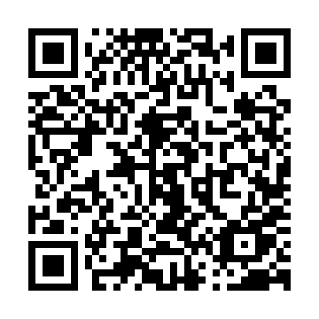 QR code for plate P66 1XU
