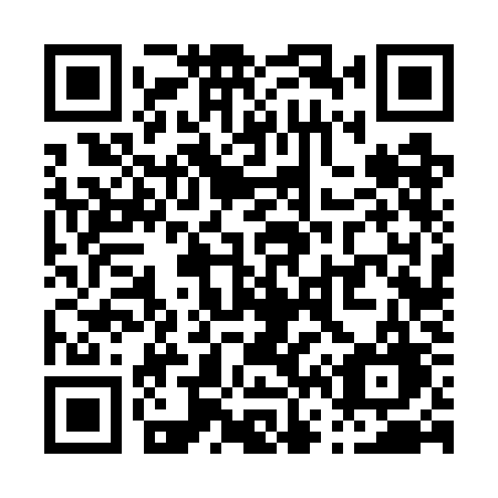 QR code for plate P66 7KG