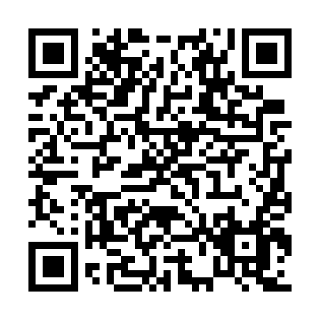QR code for P667T
