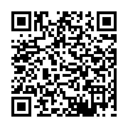 QR code for P668D