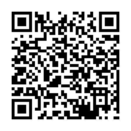 QR code for P668F