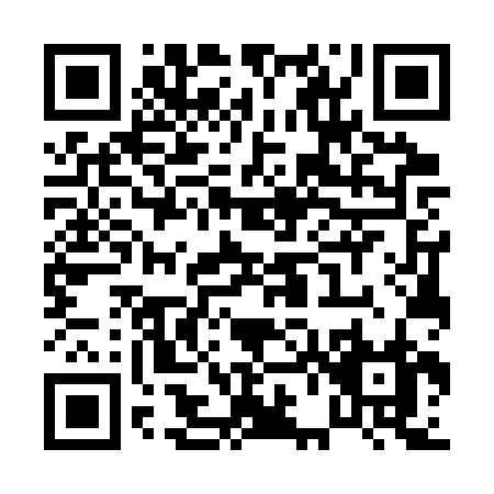 QR code for P673R