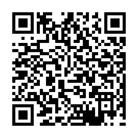 QR code for P673T