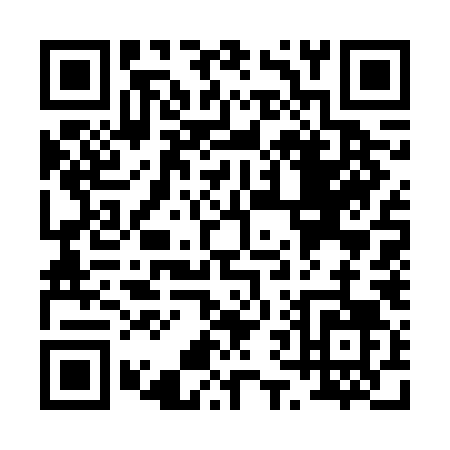 QR code for P676L