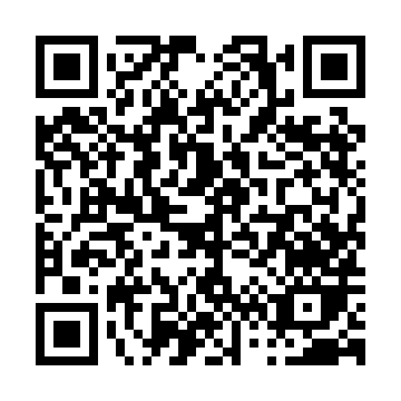QR code for P690H
