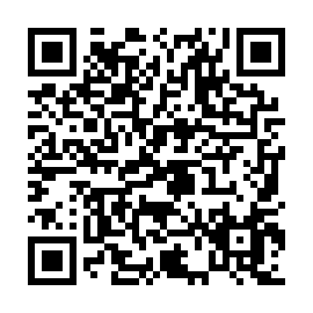 QR code for P691Q