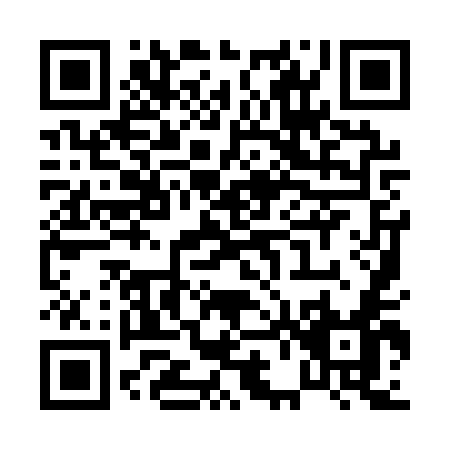 QR code for P691U