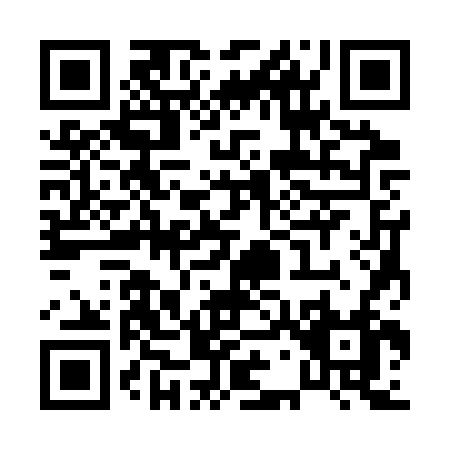 QR code for P733V