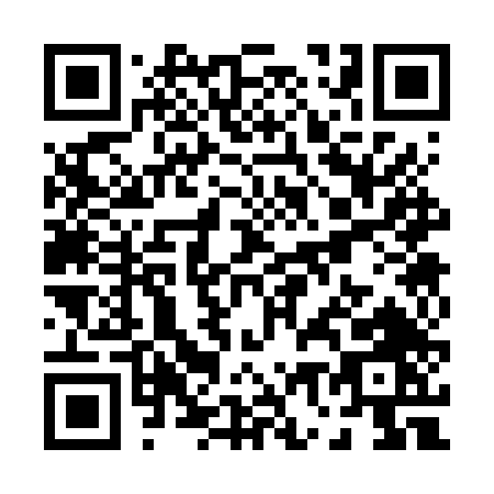 QR code for P736T
