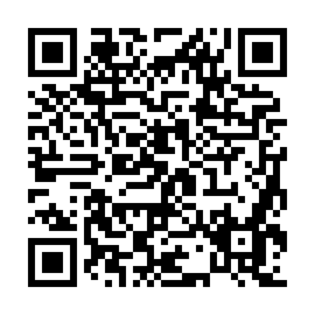 QR code for P738O