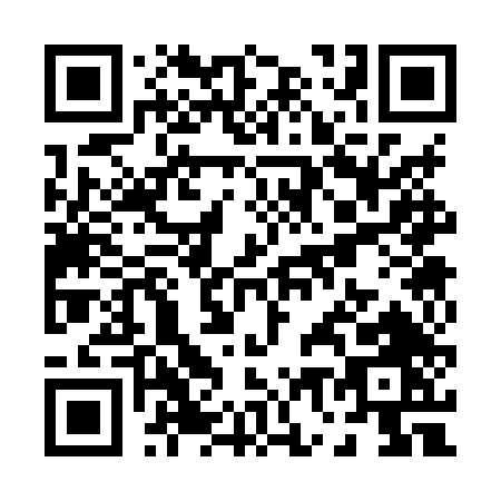 QR code for P738T