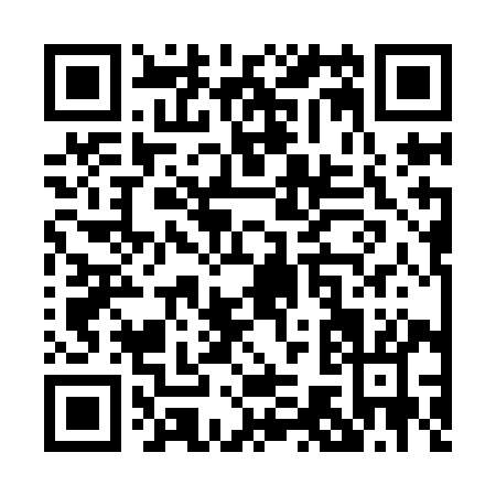 QR code for P739I
