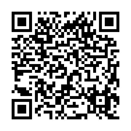 QR code for P739S