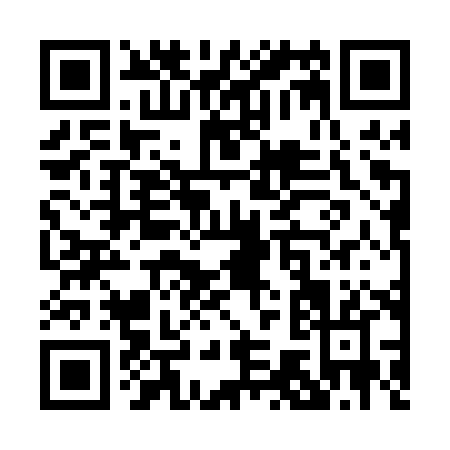 QR code for P770X