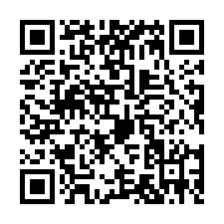 QR code for P795A