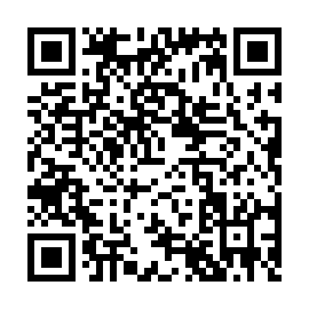 QR code for P803A
