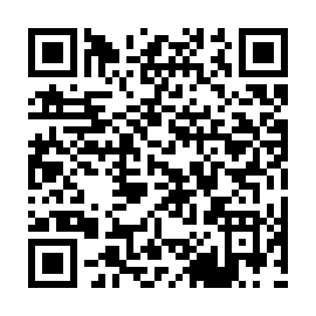 QR code for P803T