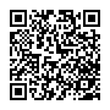 QR code for P803Z