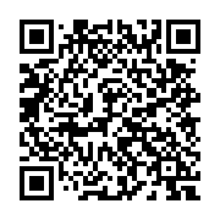 QR code for P804PI