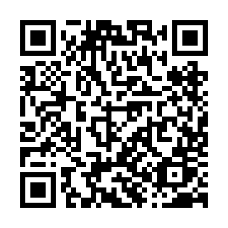 QR code for P81 2OR