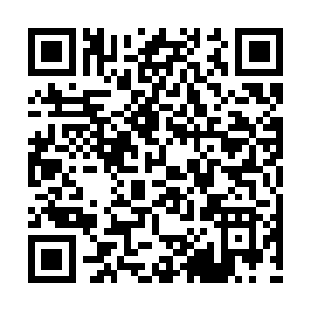 QR code for P813B