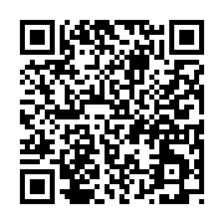 QR code for P813I