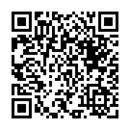 QR code for P813W