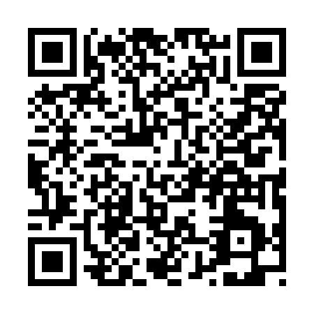 QR code for P815G