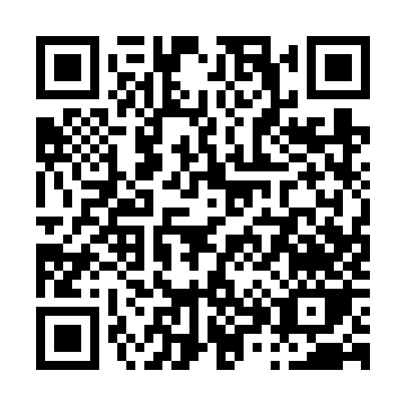 QR code for P816Z