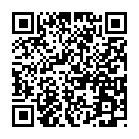 QR code for P817L